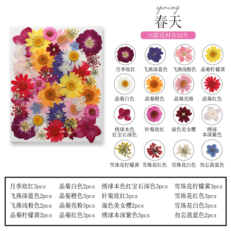 Natuurlijke planten bloemen en - Dried Flower Bookmark recensie en prijs