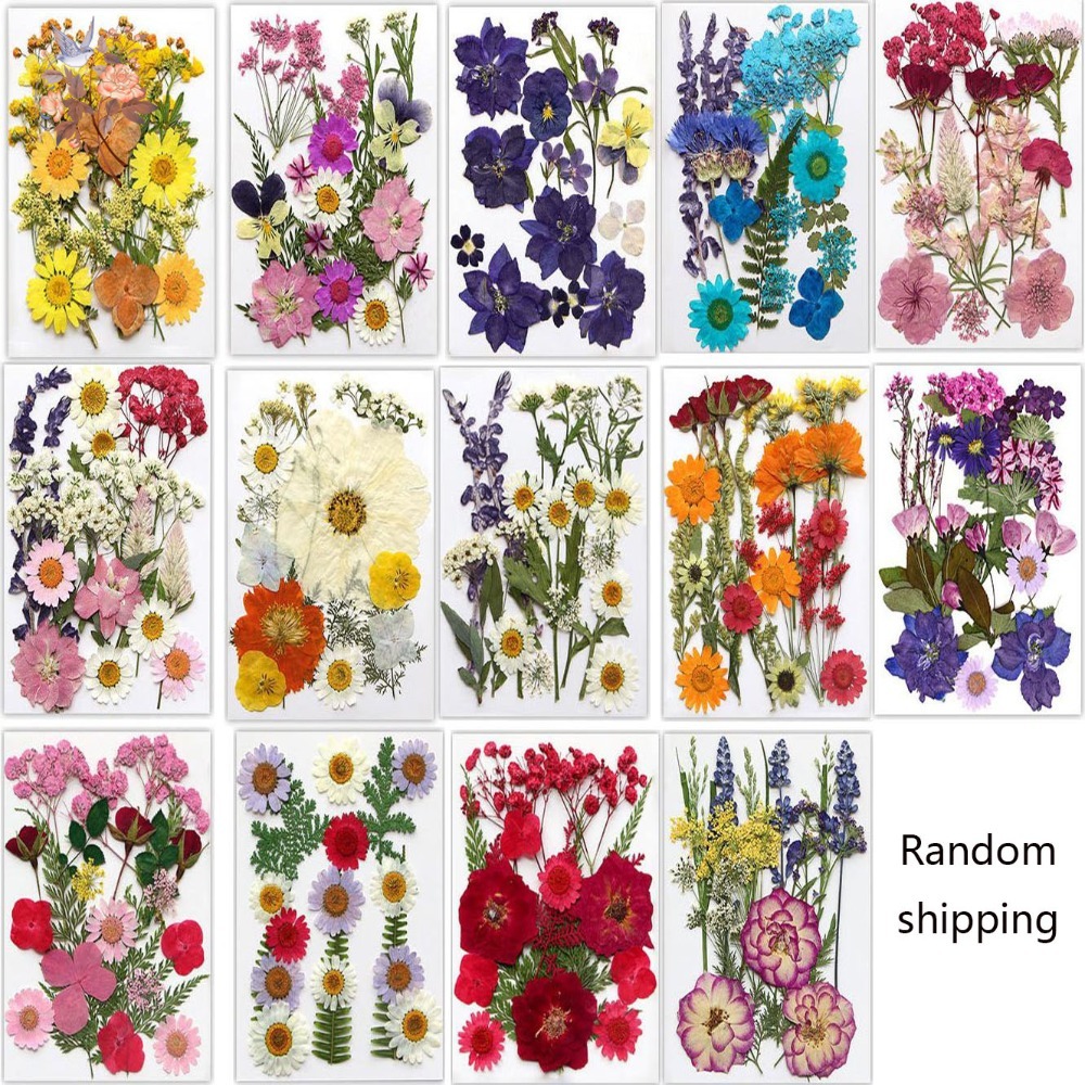 Handgemaakte geperste gedroogd - Dried Flower Bookmark recensie en prijs